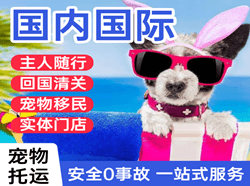 东极机场空运国际宠物托运 【国